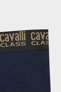 CAVALLI